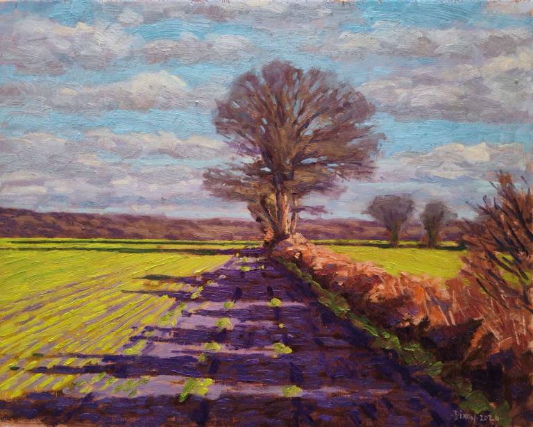 Berkhamsted fields, 2026. - Andrew Cochrane Dixon