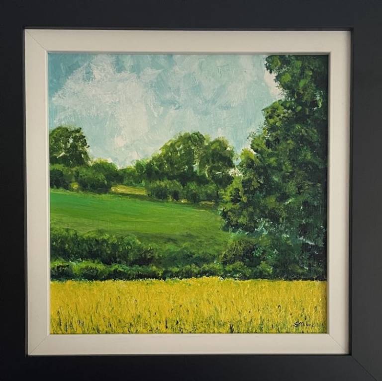 Shropshire fields - Stephen Michael Law