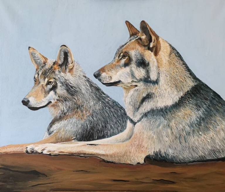 European Wolves - Stephen Michael Law