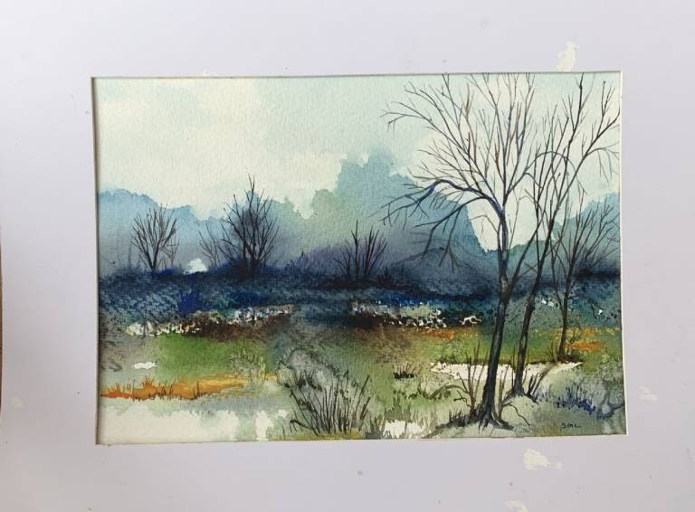 Towards blue wood - Stephen Michael Law
