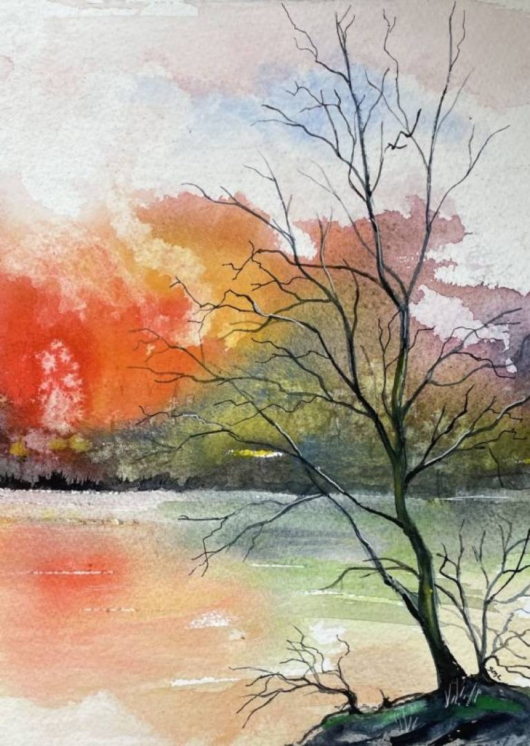 A place of calm - Stephen Michael Law