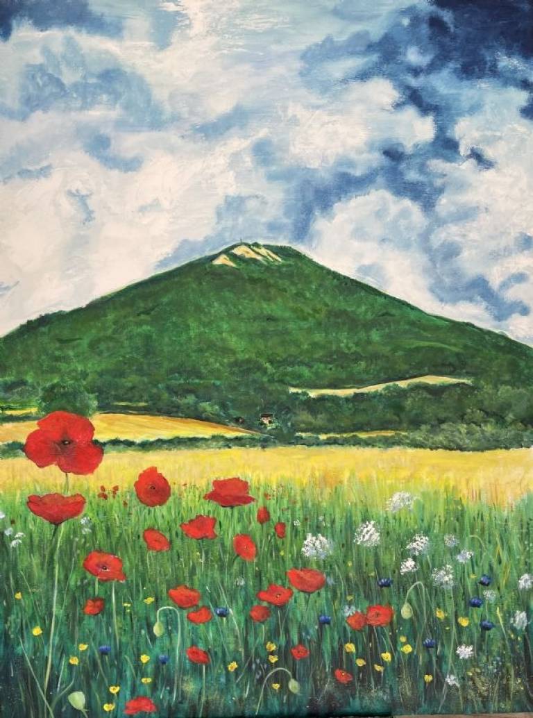 The Wrekin, Shropshire - Stephen Michael Law