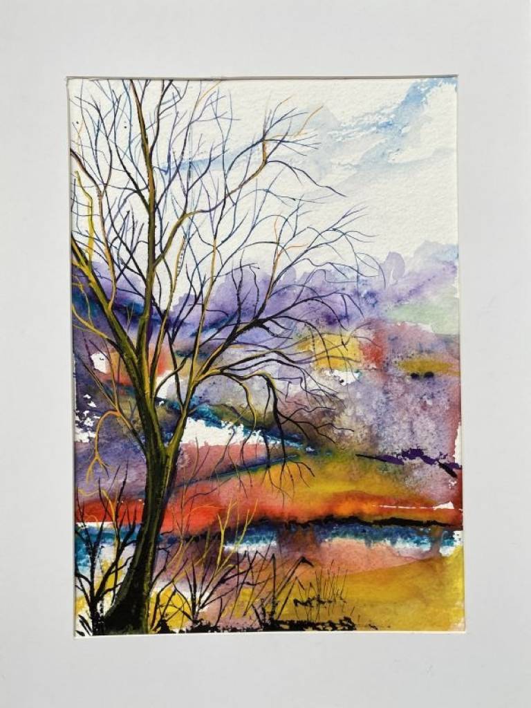 Nature's rainbow - Stephen Michael Law