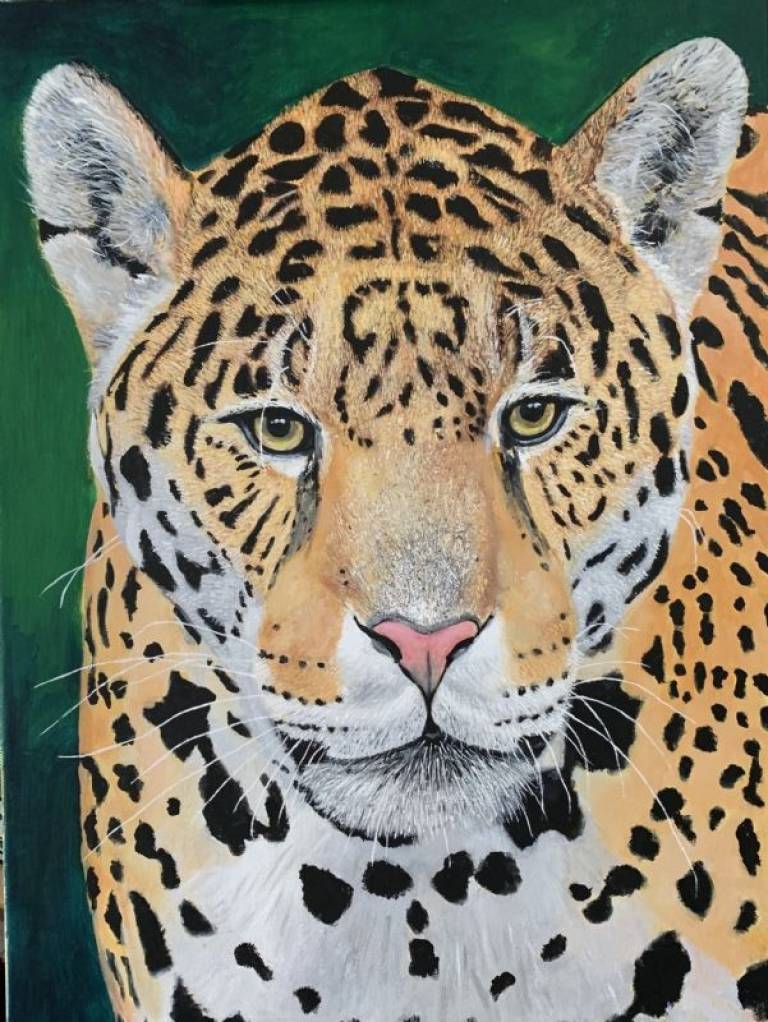 Leopard - Stephen Michael Law