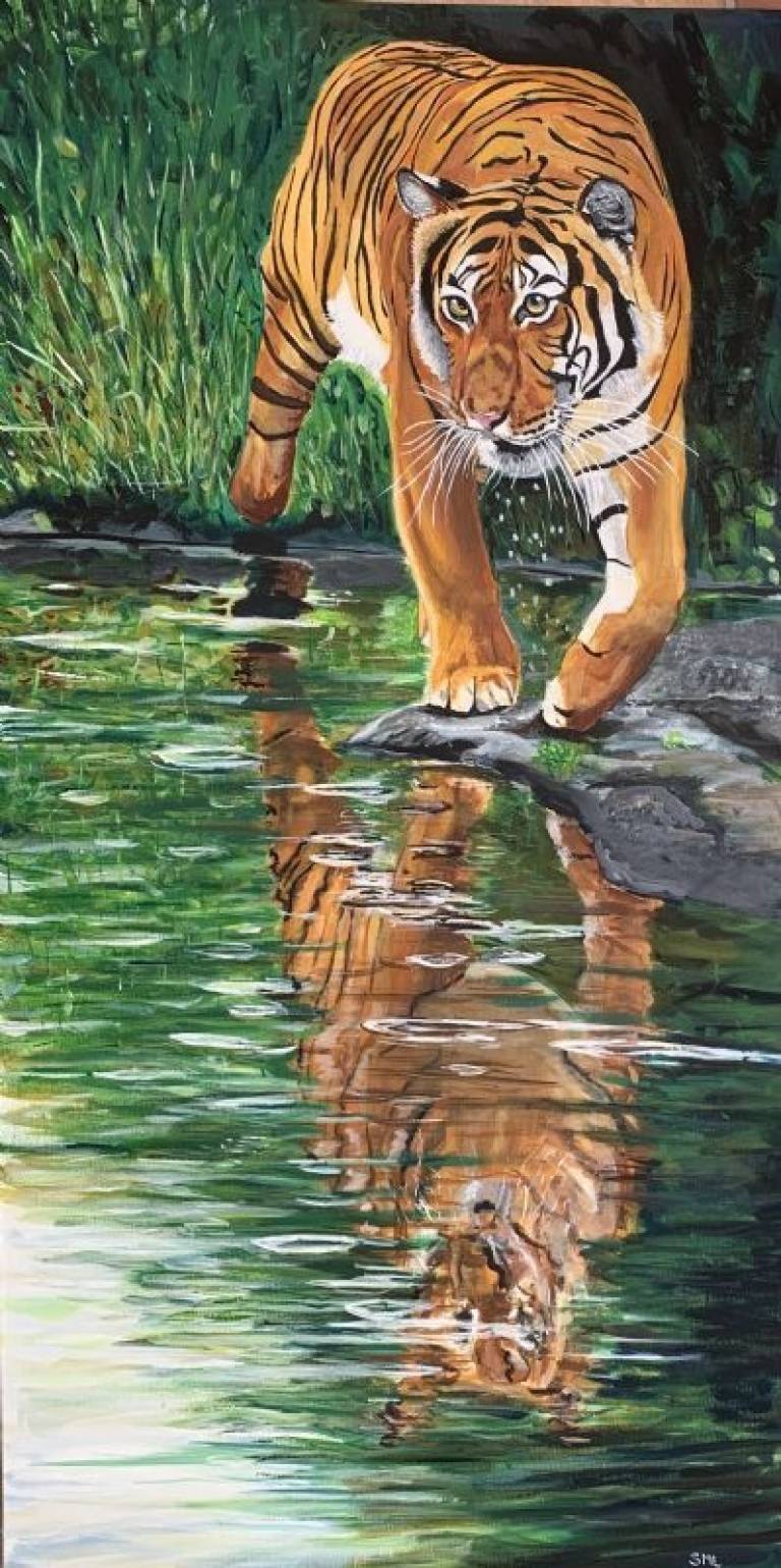 Tiger on the prowl - Stephen Michael Law