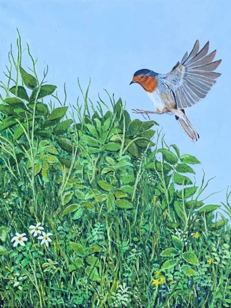 Robin - Stephen Michael Law