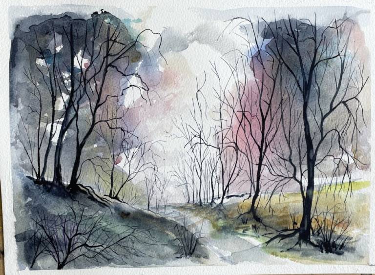 Woodland walk - Stephen Michael Law