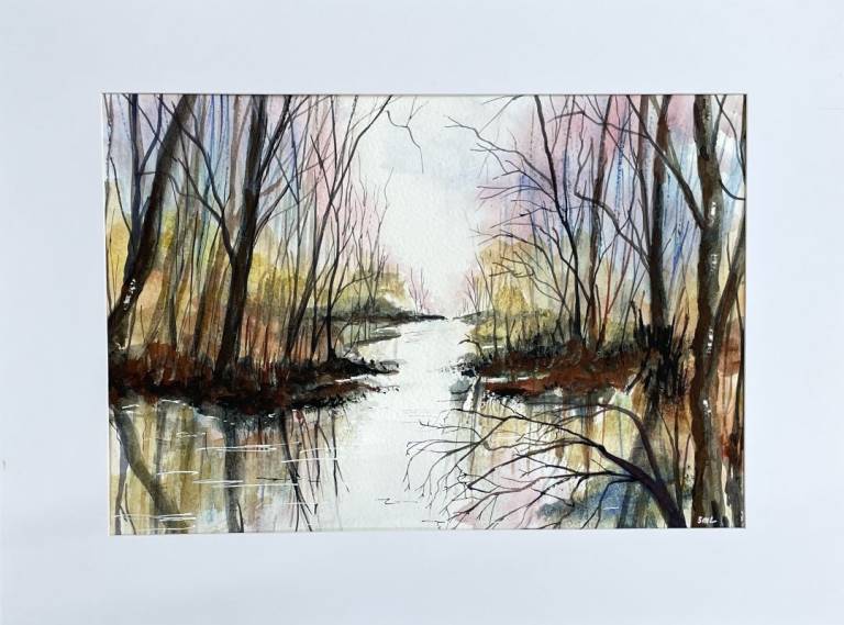 Woodland stream in flood. - Stephen Michael Law
