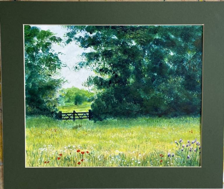Summer meadow - Stephen Michael Law