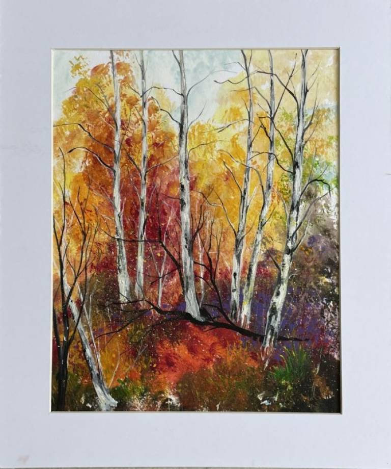 Forest in colour - Stephen Michael Law