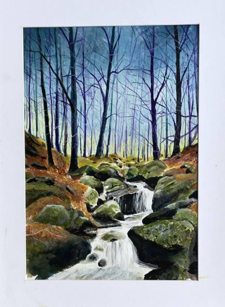 Tumbling stream, Thirlmere, Cumbria - Stephen Michael Law