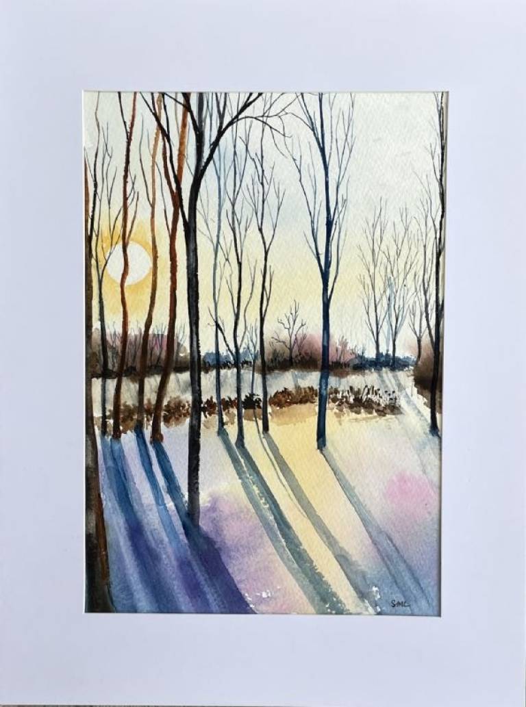 Shadows - Stephen Michael Law