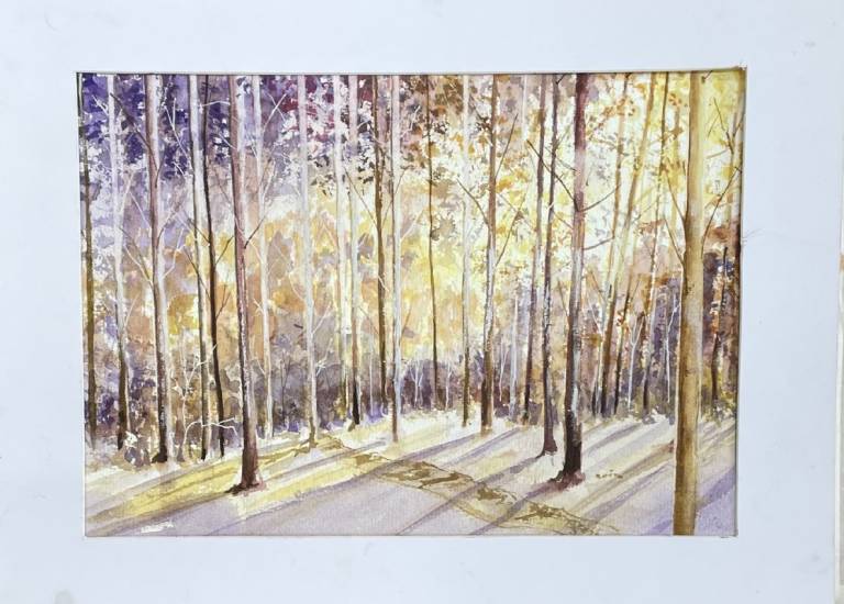 Tree scape - Stephen Michael Law