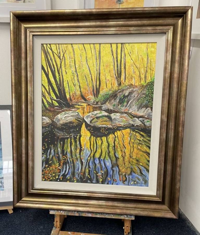 Reflections - Stephen Michael Law