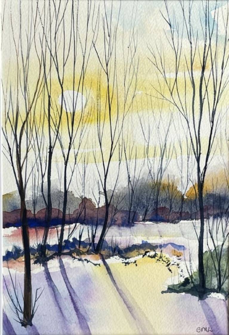 Evening shadows - Stephen Michael Law