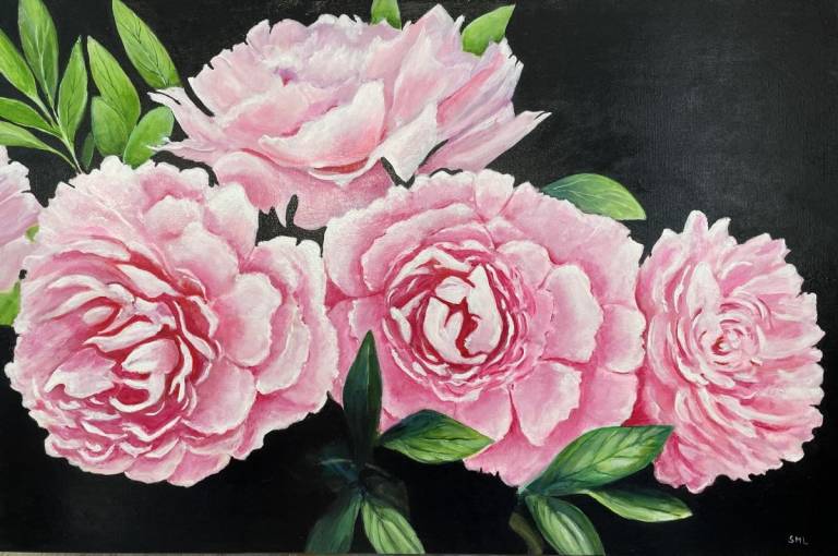 Peonies - Stephen Michael Law