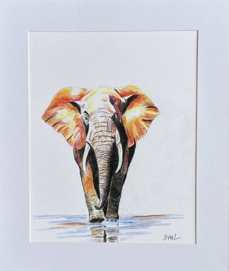 Elephant on a walk - Stephen Michael Law