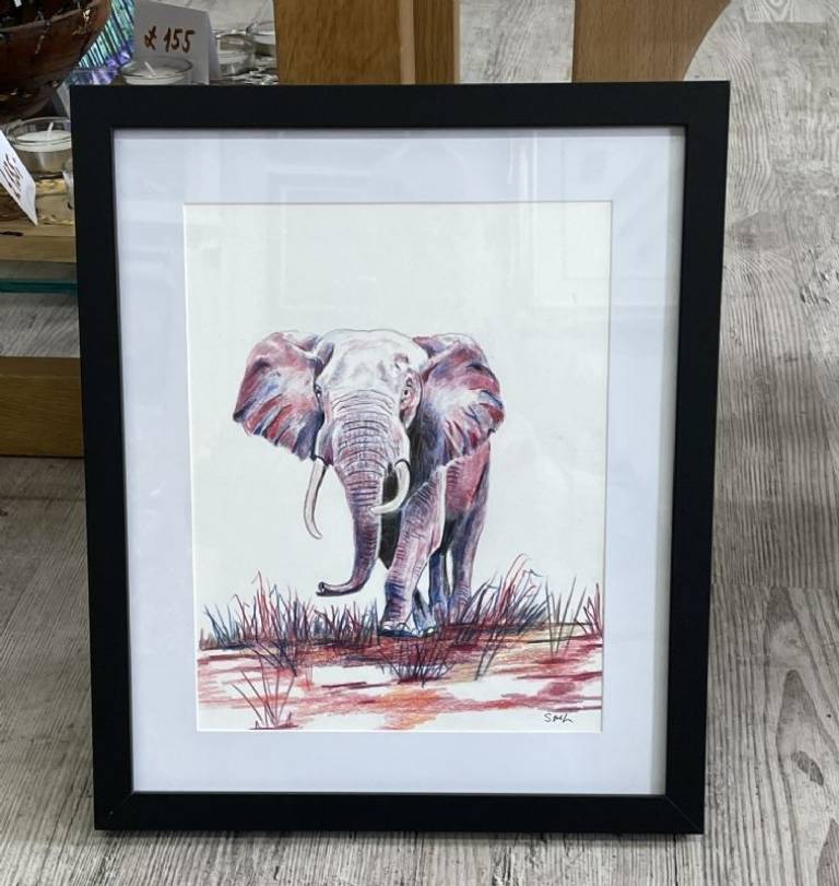 Elephant 2 - Stephen Michael Law