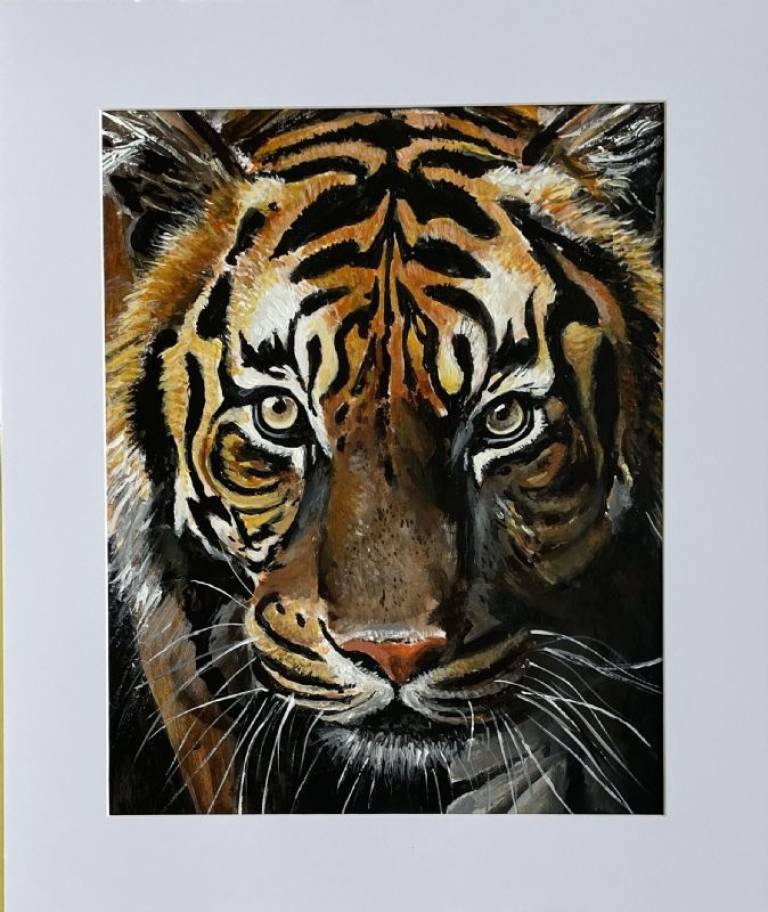 Tiger Tiger - Stephen Michael Law