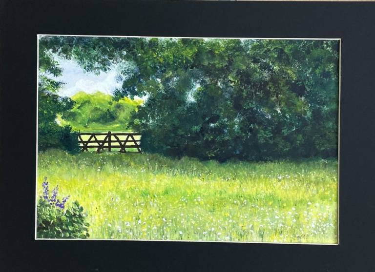Stephen's meadow again - Stephen Michael Law