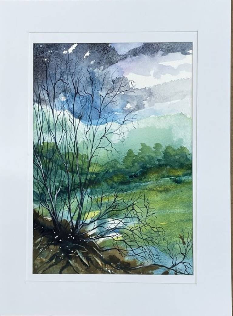 Leafless - Stephen Michael Law