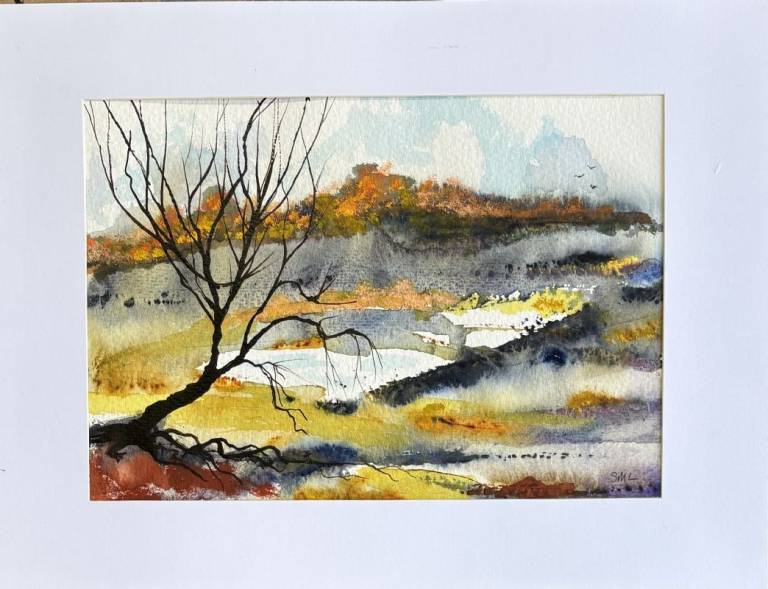 watercolour - Stephen Michael Law