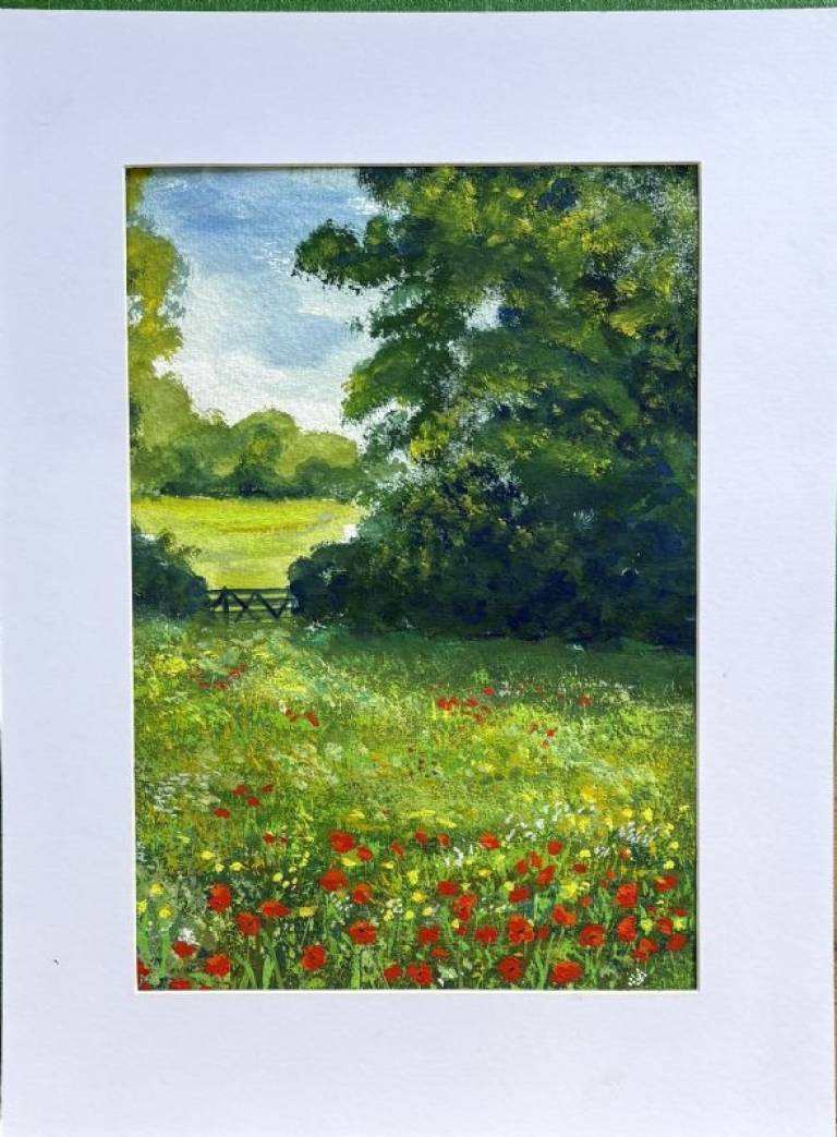 Summer meadow - Stephen Michael Law