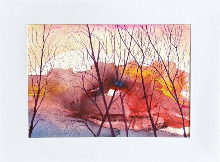 Through the trees into colour! - Stephen Michael Law
