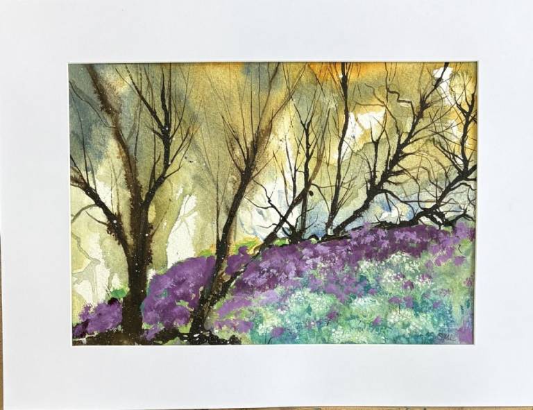 Nature's palette - Stephen Michael Law