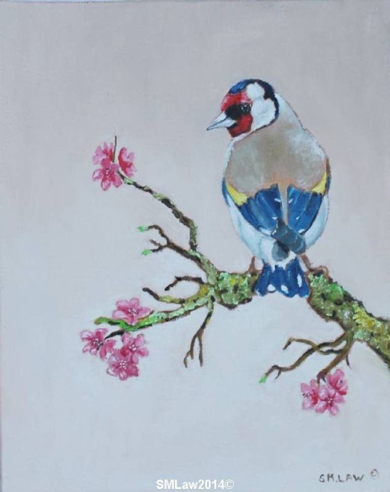 Goldfinch - Stephen Michael Law