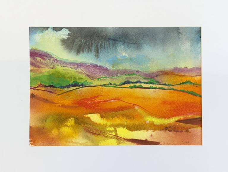 Vibrant fields - Stephen Michael Law