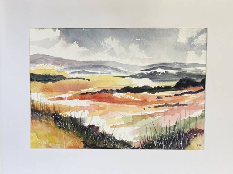 Long Mynd near Much Wenlocl - Stephen Michael Law