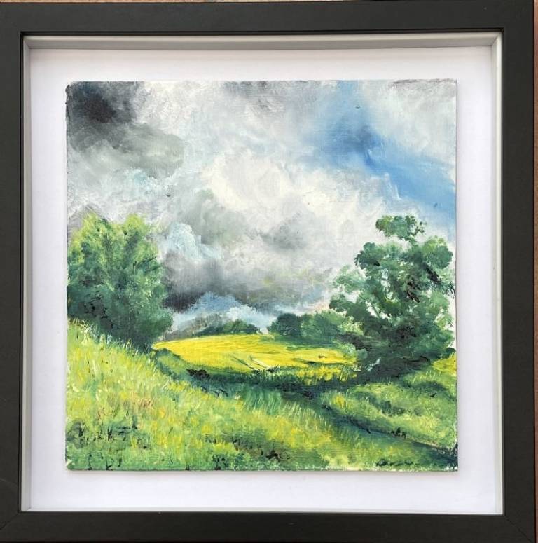 Fields near Buildwas (Shropshire) - Stephen Michael Law