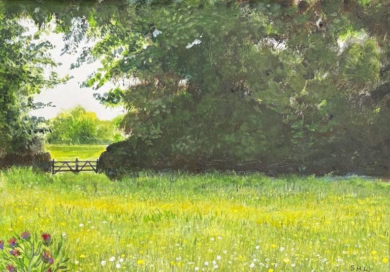 Through the gate - Stephen Michael Law