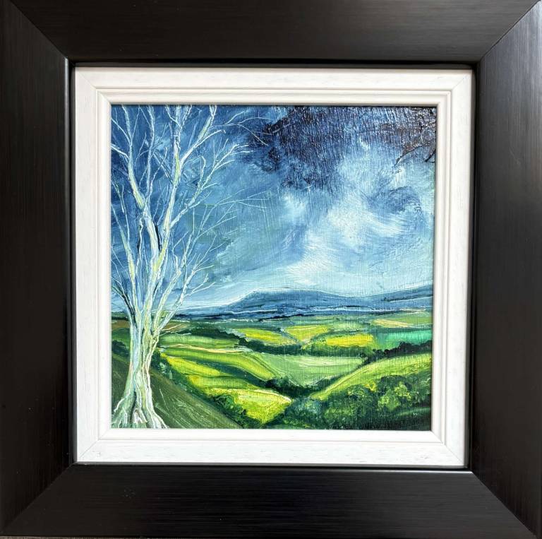 Fields of green - Stephen Michael Law