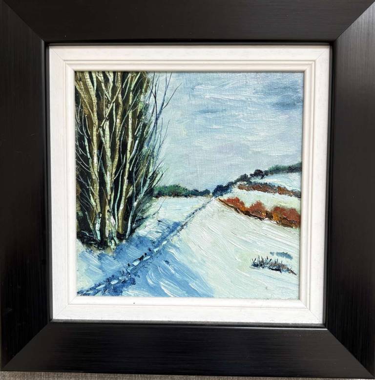 December snow - Stephen Michael Law