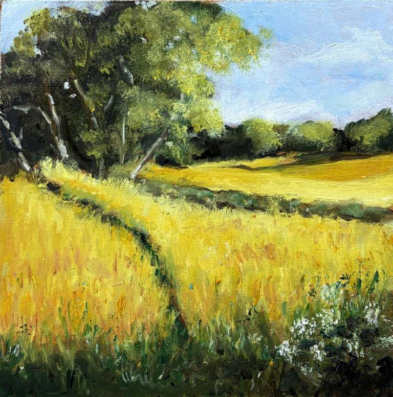 Summer Fields - Stephen Michael Law