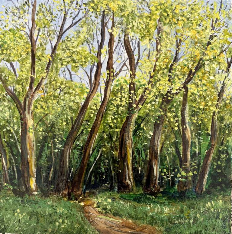 Town Park trees - Stephen Michael Law
