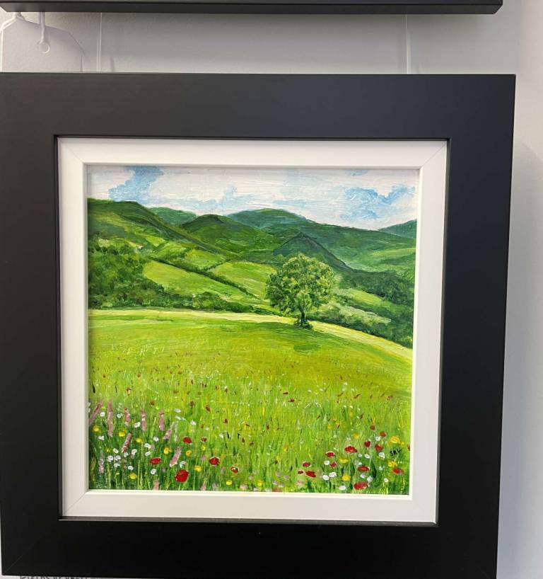 summer fields - Stephen Michael Law