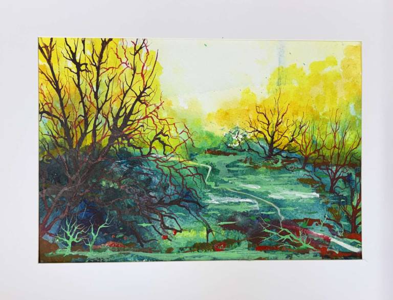 Woodland in disarray - Stephen Michael Law