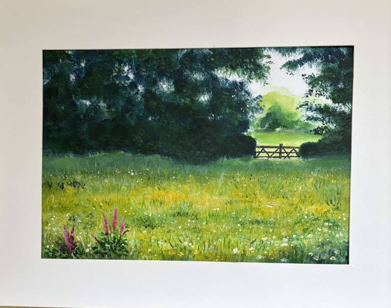 The gate to Stephen's field - Stephen Michael Law