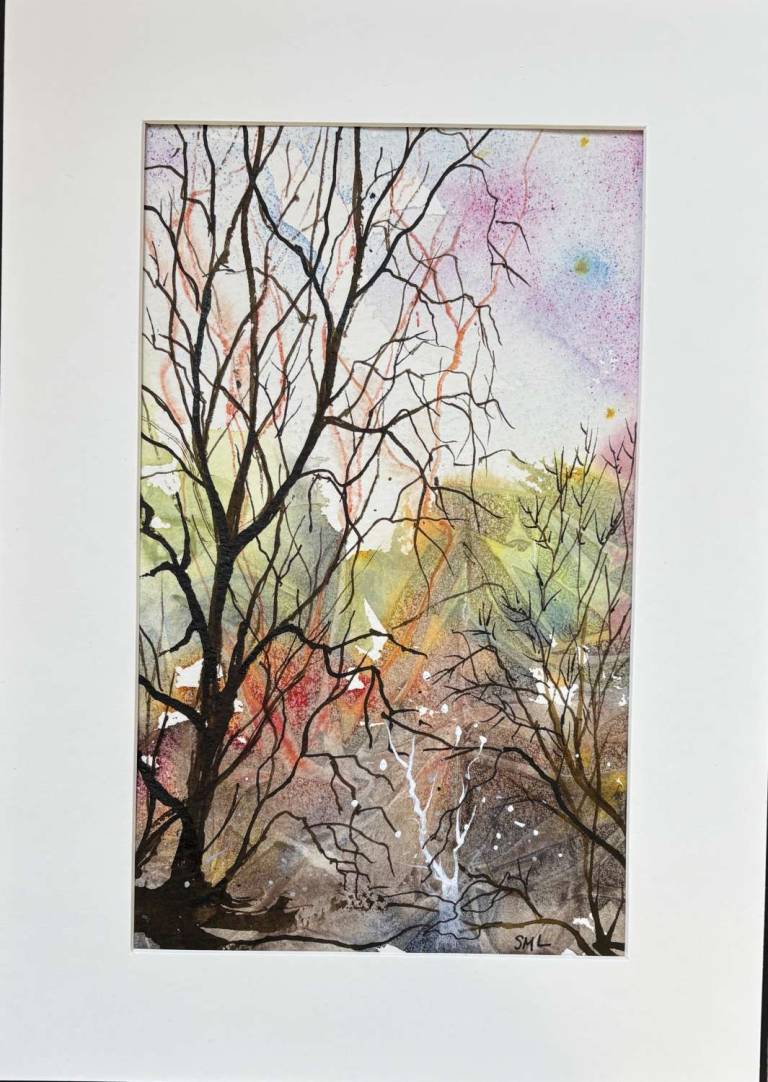Woodland - Stephen Michael Law