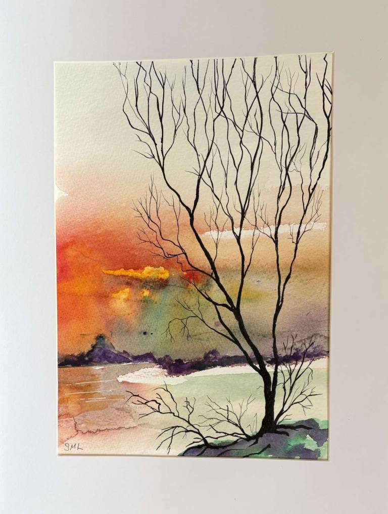 Winter colour - Stephen Michael Law