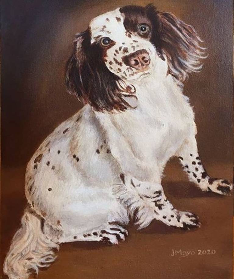 Maggie - John Mayo