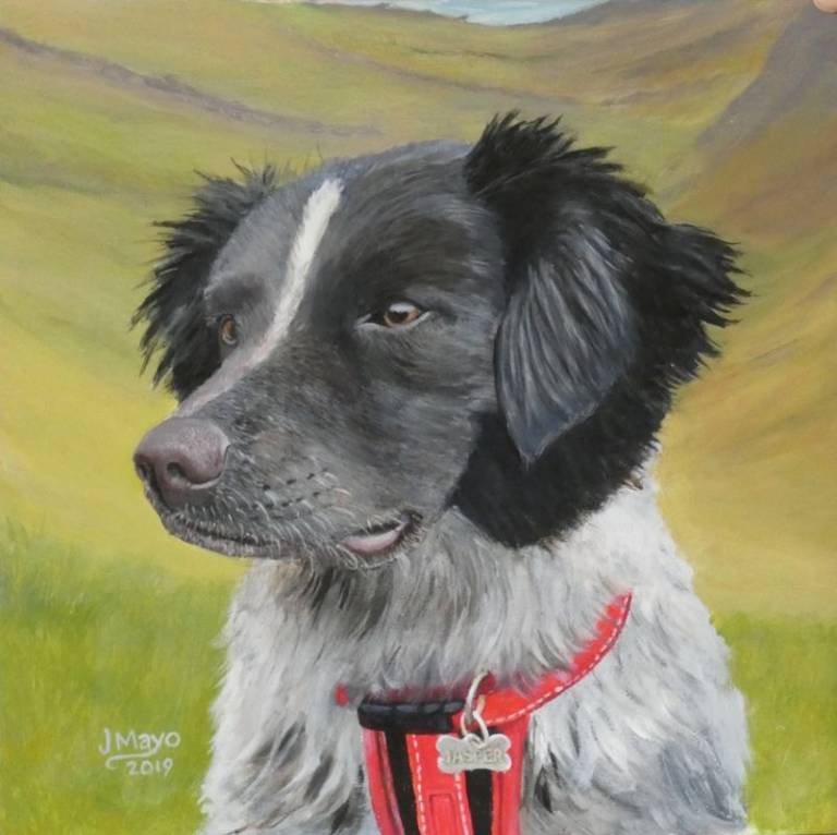 Jasper - John Mayo