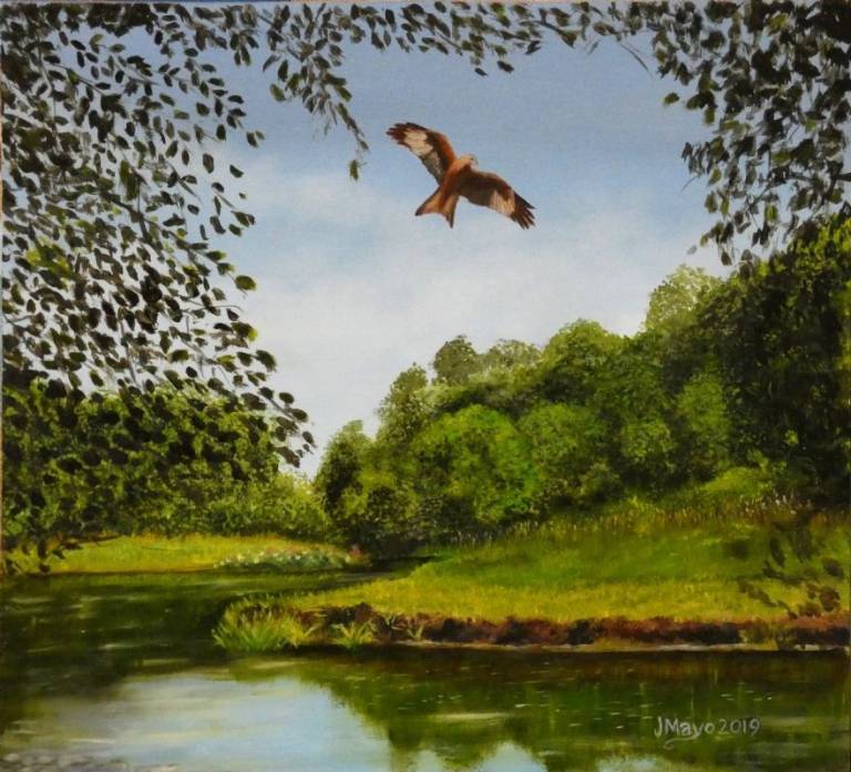 Kite - John Mayo