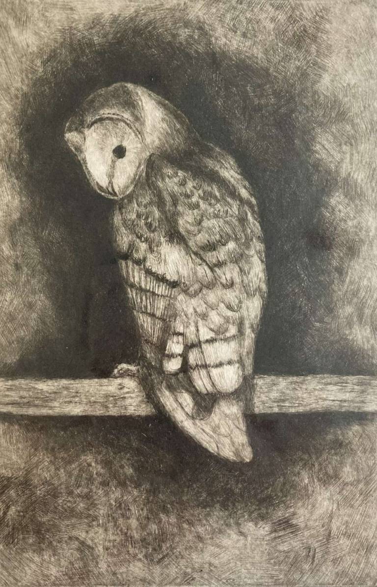 Ghost Owl - Eleanor Russell-Hsieh