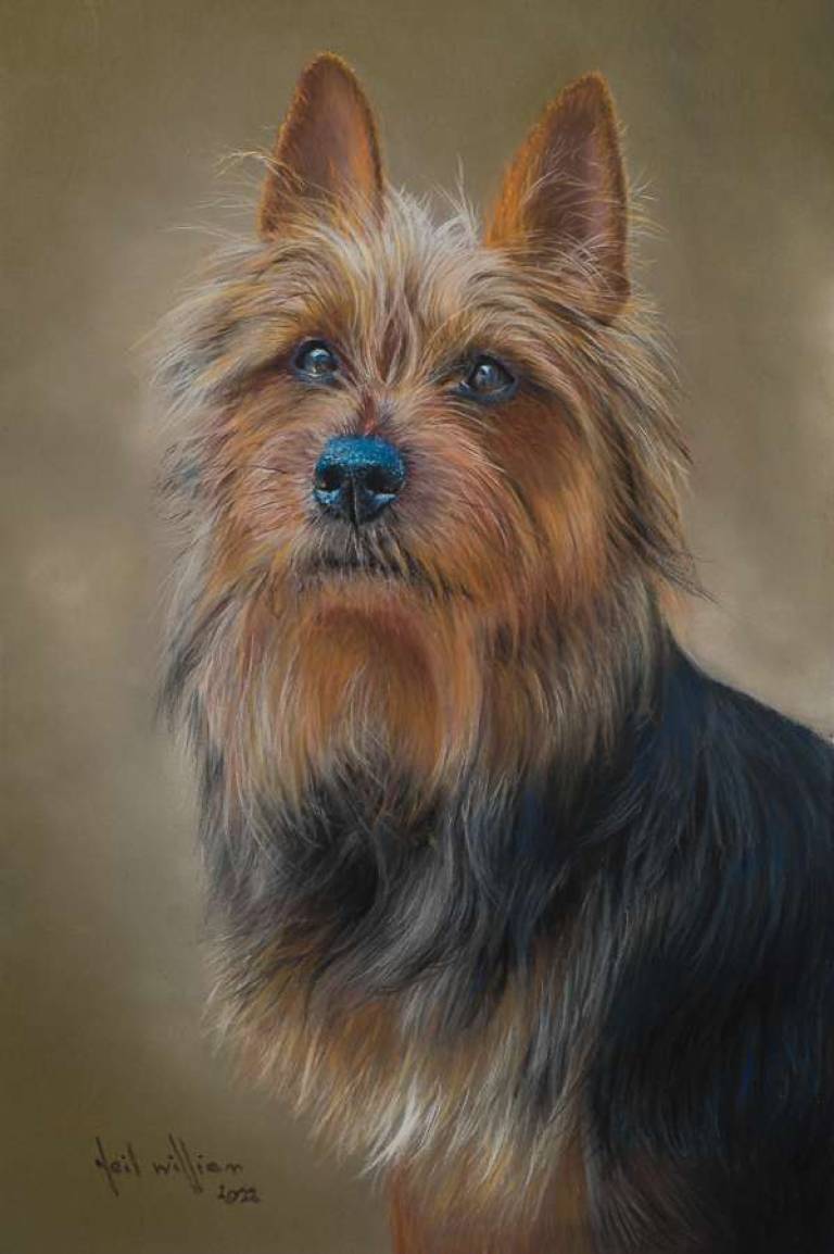 Pet Portraits - 