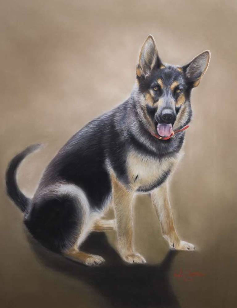 Pet Portraits - 