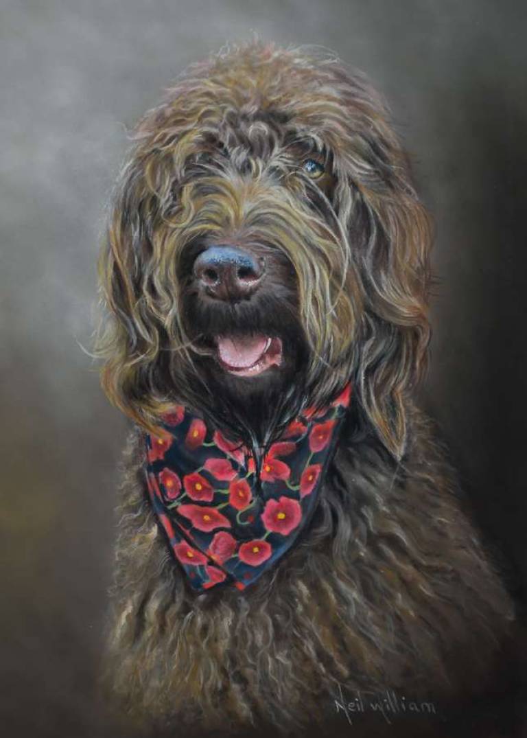 Pet Portraits - 
